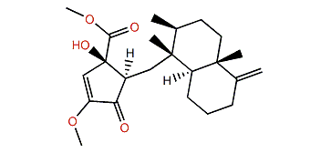 Dactylospongenone C